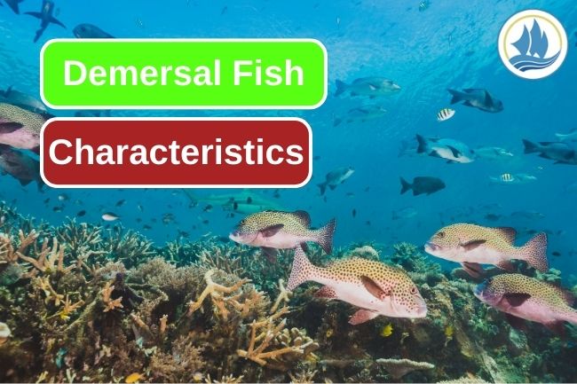 These Are 7 Demersal Fish Unique Traits